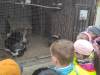 IMG_20250526_082728