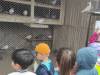 IMG_20250526_083757