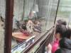 IMG_20250526_085736