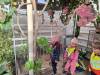 IMG-20241010-WA0038