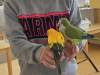 20250609_104345-Copy