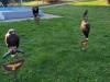 IMG-20261006-WA0013-Copy