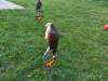 IMG-20261006-WA0014-Copy