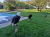 IMG-20261006-WA0015-Copy