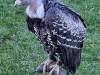 IMG-20261006-WA0017-Copy