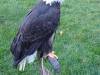 IMG-20261006-WA0018-Copy