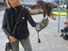 IMG-20261006-WA0022-Copy