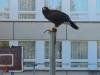 IMG-20261006-WA0023-Copy