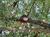 IMG-20261006-WA0024-Copy