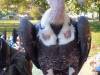 IMG-20261006-WA0040-Copy