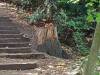 IMG-20261008-WA0021-Copy