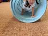 IMG_3713-Copy