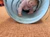 IMG_3718-Copy