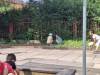 IMG-20240627-WA0098