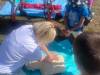 IMG-20250620-WA0011