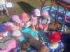 IMG-20250620-WA0013