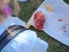 IMG-20250620-WA0075