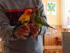 IMG20250609100412-Copy
