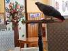 IMG20250609101247-Copy