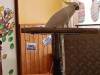 IMG20250609101526-Copy