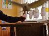 IMG20250609101615-Copy