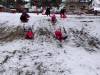 IMG_20211209_103953
