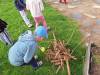 IMG-20240409-WA0051