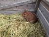 IMG-20240409-WA0127