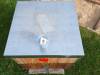 IMG-20240409-WA0159