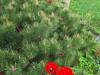 IMG-20240409-WA0165