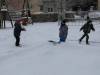 IMG_20221212_102522-Copy