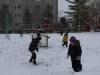 IMG_20221212_102530-Copy
