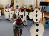 IMG_20221214_143727-Copy