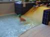 IMG-20250218-WA0004