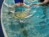 IMG-20250218-WA0022