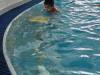 IMG-20250218-WA0025