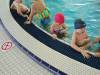 IMG-20250218-WA0027