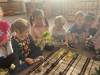 IMG_2183-Copy