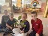 IMG_2185-Copy