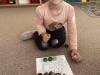 IMG_2203-Copy