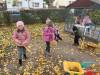 IMG_2230-Copy