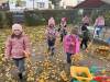 IMG_2231-Copy