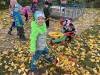 IMG_2232-Copy