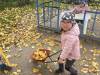IMG_2236-Copy