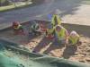 IMG-20221015-WA0010