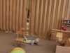 IMG-20221015-WA0028