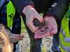 IMG_20221011_100606-Copy