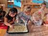 IMG_20221017_095547-Copy
