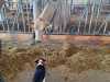 IMG-20250617-WA0015