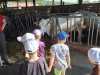 IMG-20250617-WA0020